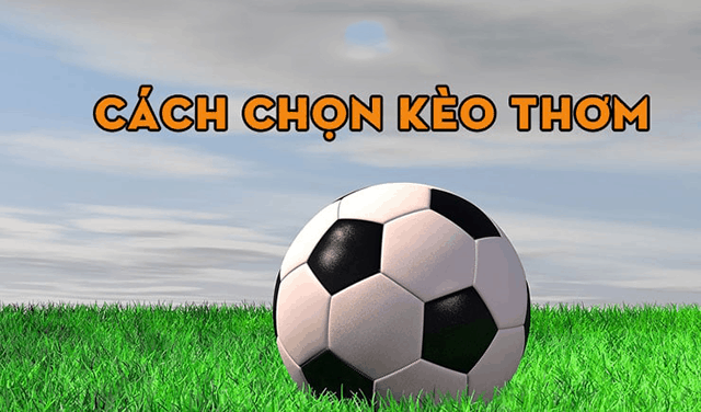 Hướng dẫn cách chọn kèo thơm trong cá cược bóng đá online với tân binh