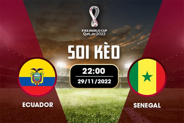 Soi kèo bóng đá SBO Ecuador vs Senegal ngày 29/11/2022 – Vòng bảng World Cup 2022