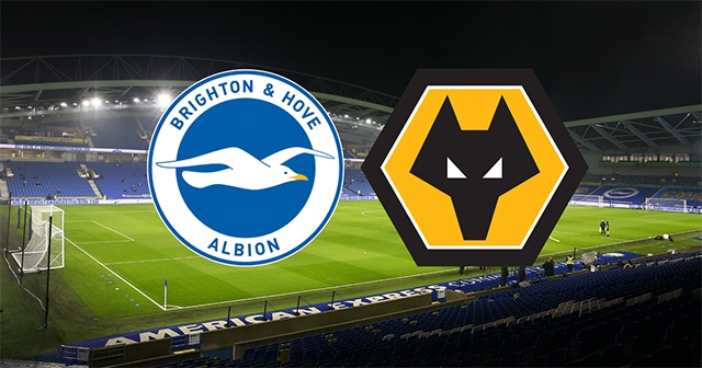 Soi kèo bóng đá SBO Brighton vs Wolves ngày 29/4/2023 – Vòng 34 Ngoại Hạng Anh